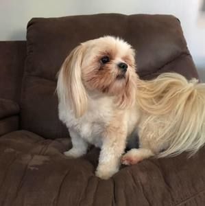 Meet your Posher, Andy